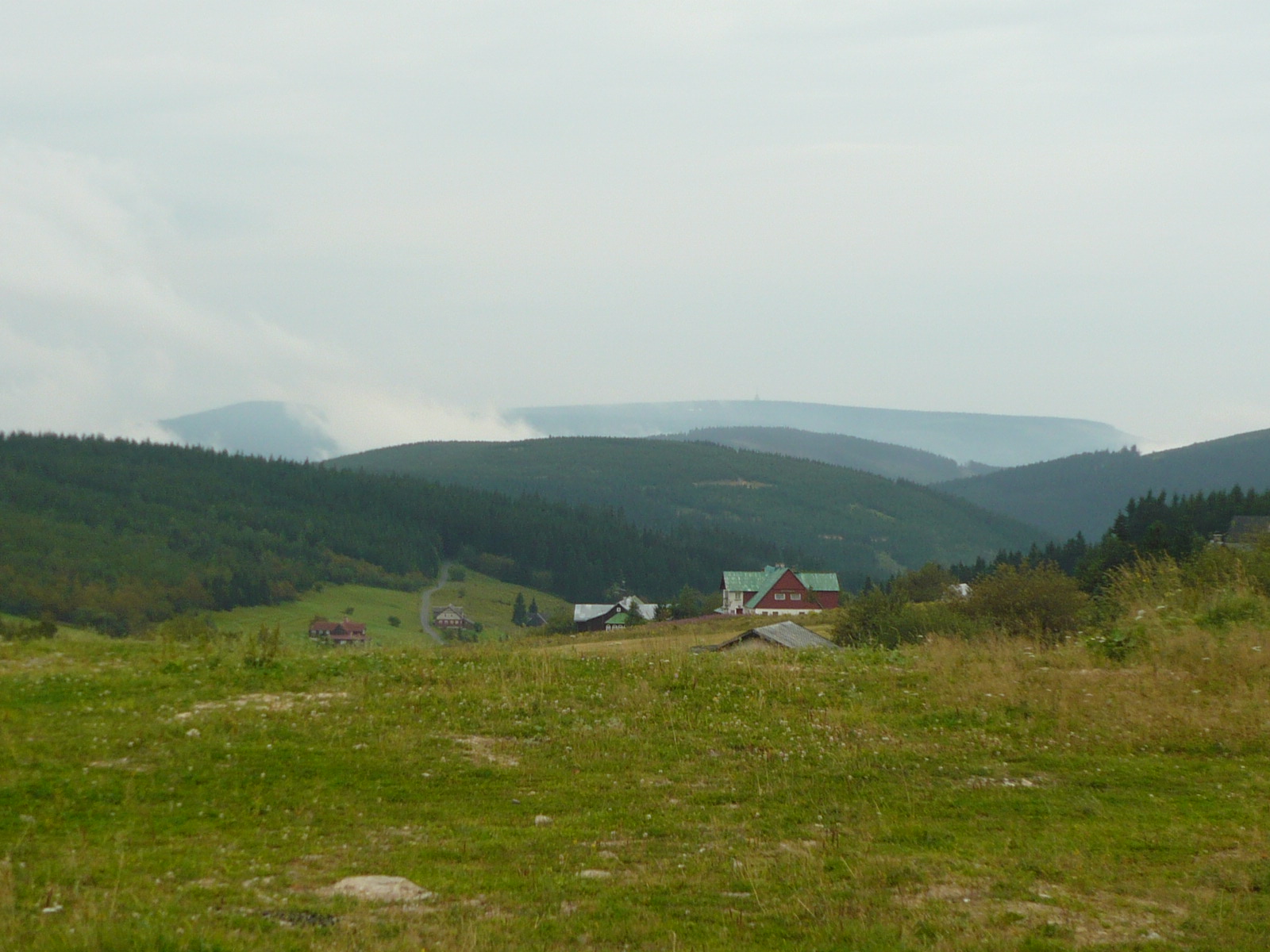 P1100547.JPG